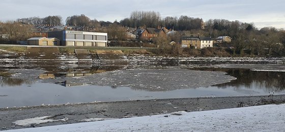 Click for larger image