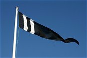 Flag flying in the stiff breeze